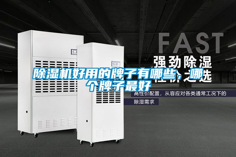 除濕機好用的牌子有哪些,哪個牌子最好