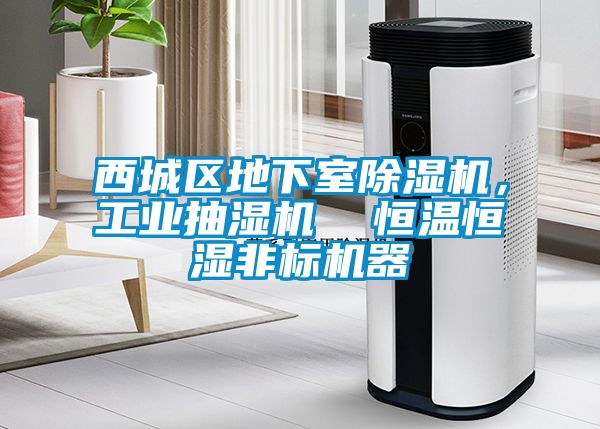 西城區(qū)地下室除濕機(jī),工業(yè)抽濕機(jī) 恒溫恒濕非標(biāo)機(jī)器