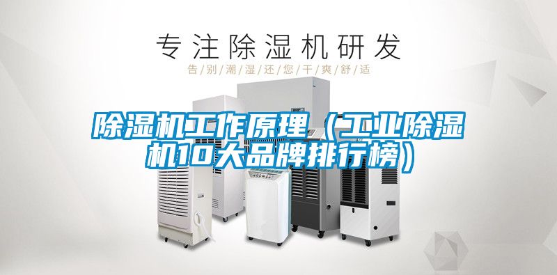 除濕機工作原理(工業除濕機10大品牌排行榜)