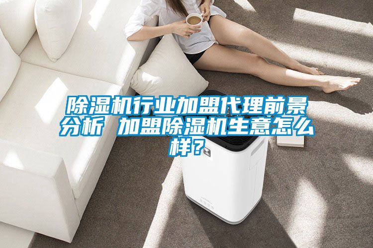 除濕機(jī)行業(yè)加盟代理前景分析 加盟除濕機(jī)生意怎么樣?