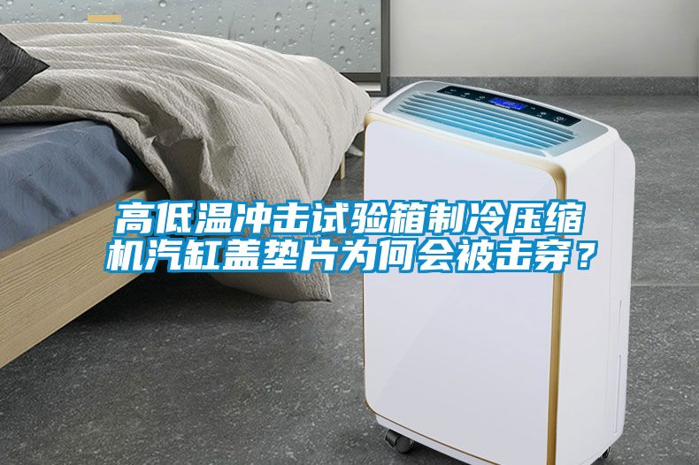 高低溫沖擊試驗箱制冷壓縮機汽缸蓋墊片為何會被擊穿？