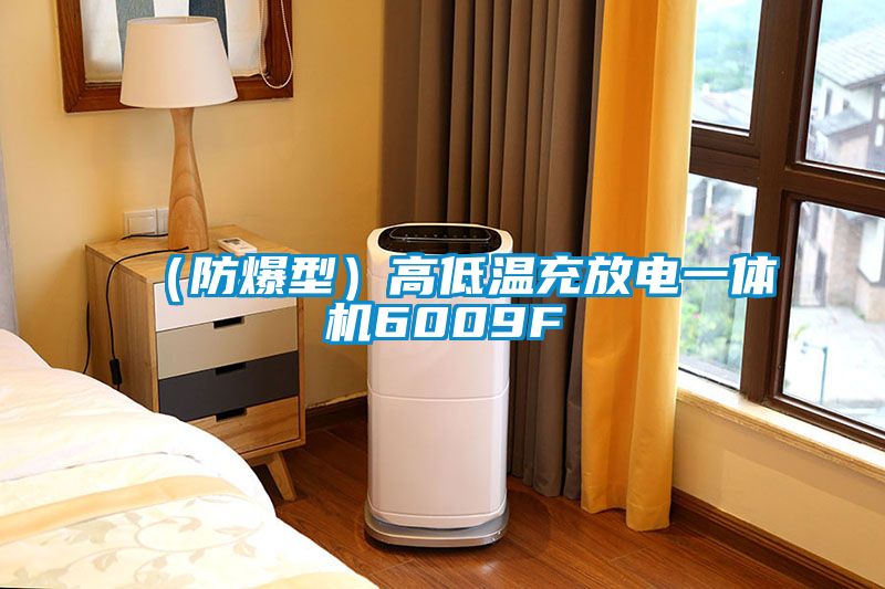 (防爆型)高低溫充放電一體機6009F